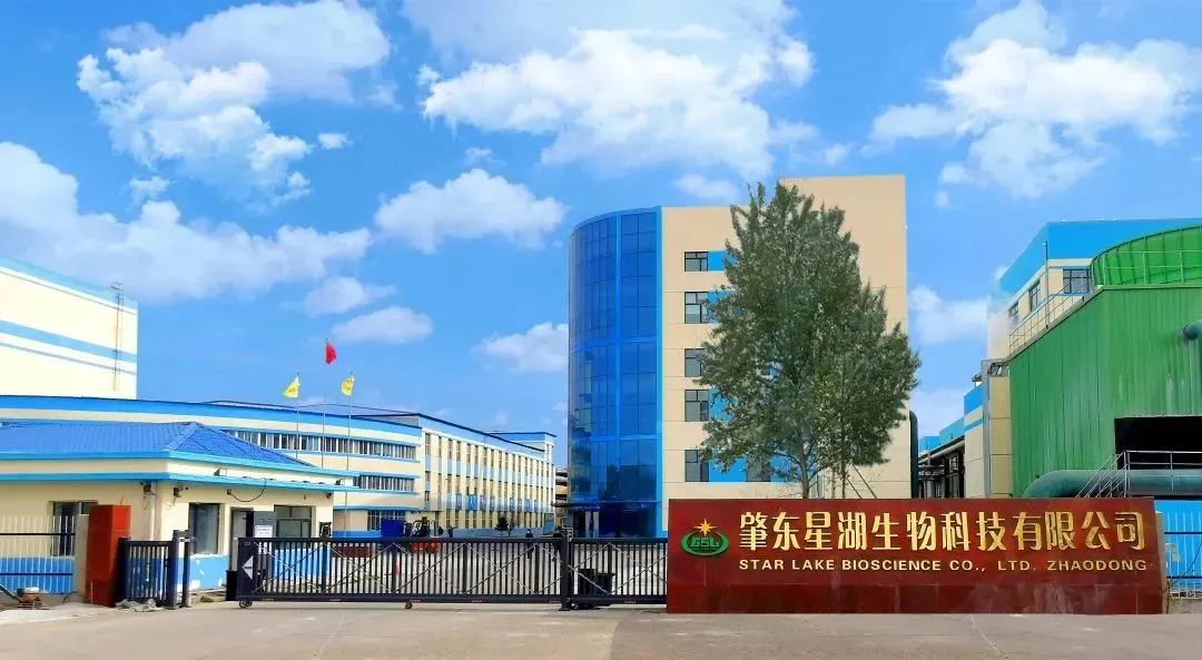 腾博会诚信为本,专业服务!集团深入贯彻全省高质量发展大会精神（四）