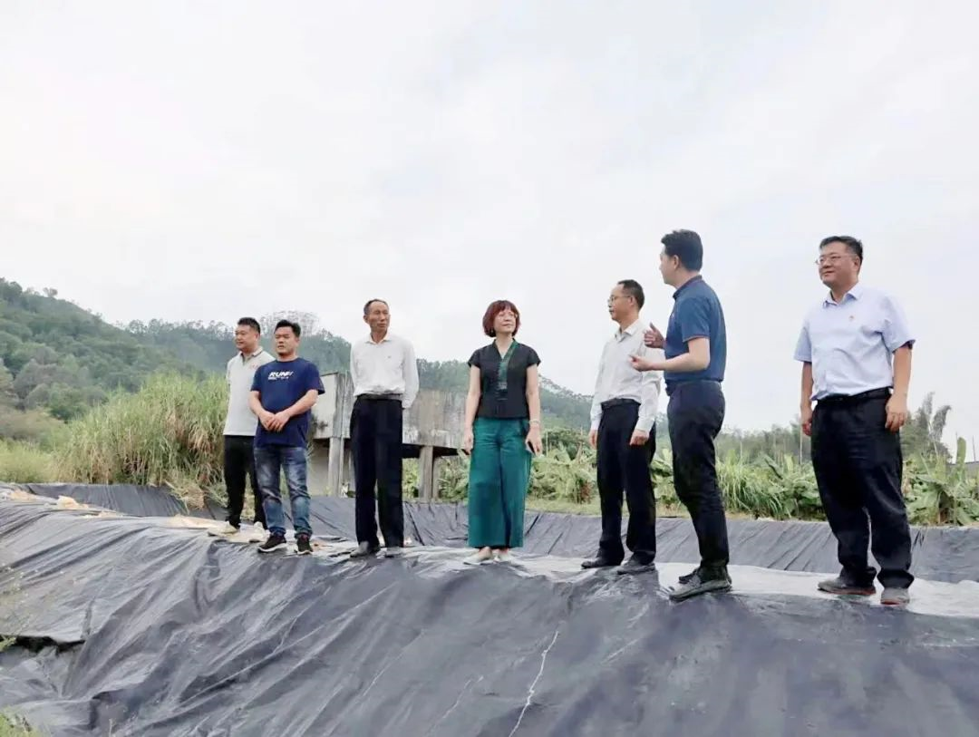 腾博会诚信为本,专业服务!集团党委副书记、工会主席黄家合带队调研乡村振兴驻镇帮扶工作