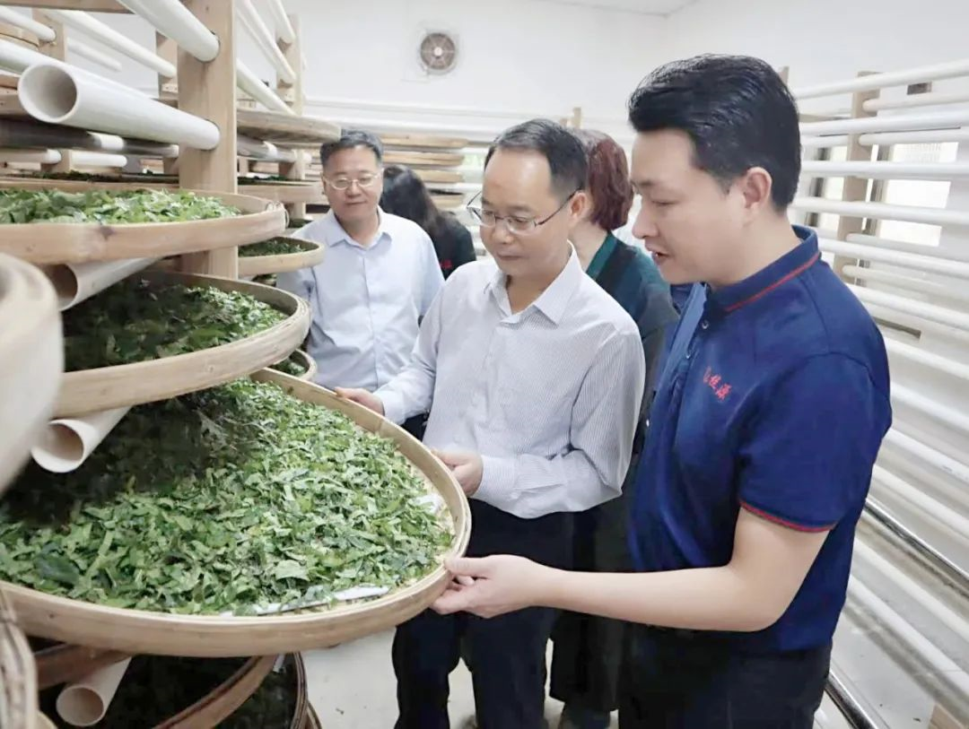 腾博会诚信为本,专业服务!集团党委副书记、工会主席黄家合带队调研乡村振兴驻镇帮扶工作